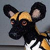 Hamisi the African Wild Dog